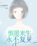 惟愿来生永不复见