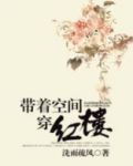穿书红楼带空间的小说