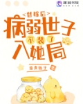 替嫁世子妃腹黑世子甩不掉