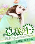 总裁在上TXT下载
