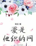 爱是他的灵魂是什么歌