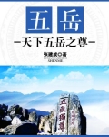 五岳：天下五岳之尊