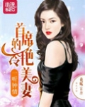 一见钟情首席的心尖擎爱