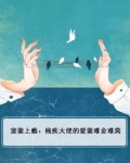 残疾丈夫宠妻上天
