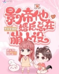影帝婚后日常无弹窗