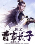 三国曹家长子大汉慈父小说免费阅读