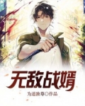 无敌战婿之惊天镇世