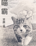 喵霸霸是什么店
