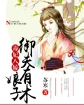 毒妃八嫁：娘子御夫有术